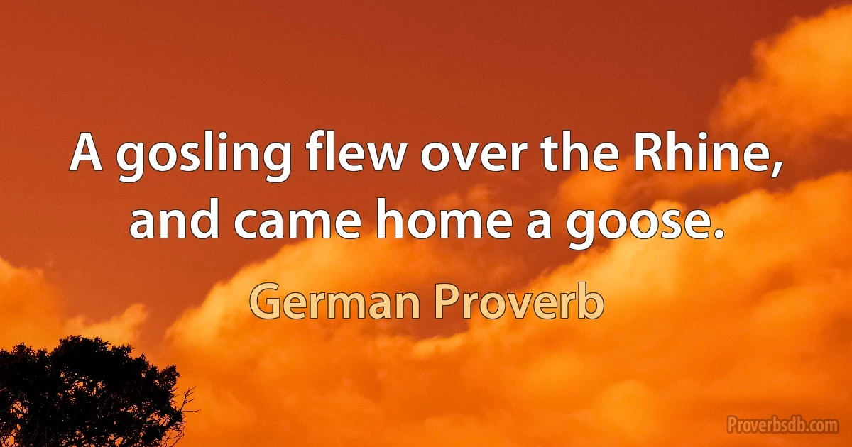 A gosling flew over the Rhine, and came home a goose. (German Proverb)