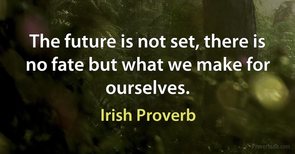 The future is not set, there is no fate but what we make for ourselves. (Irish Proverb)