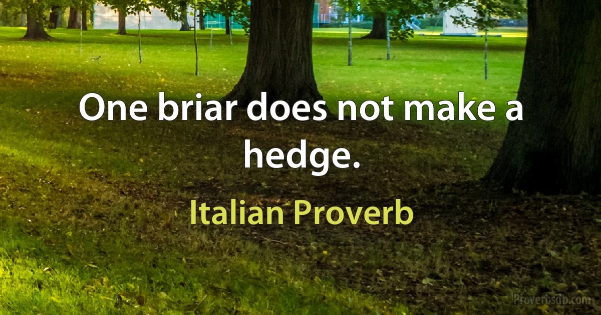 One briar does not make a hedge. (Italian Proverb)