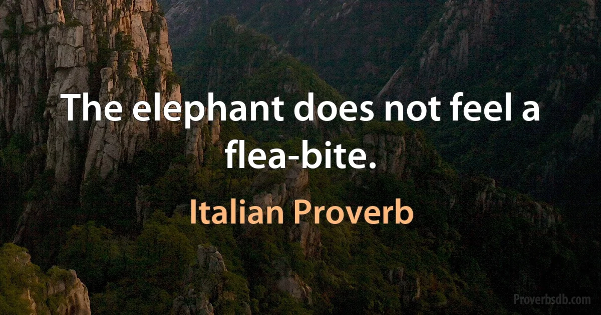 The elephant does not feel a flea-bite. (Italian Proverb)