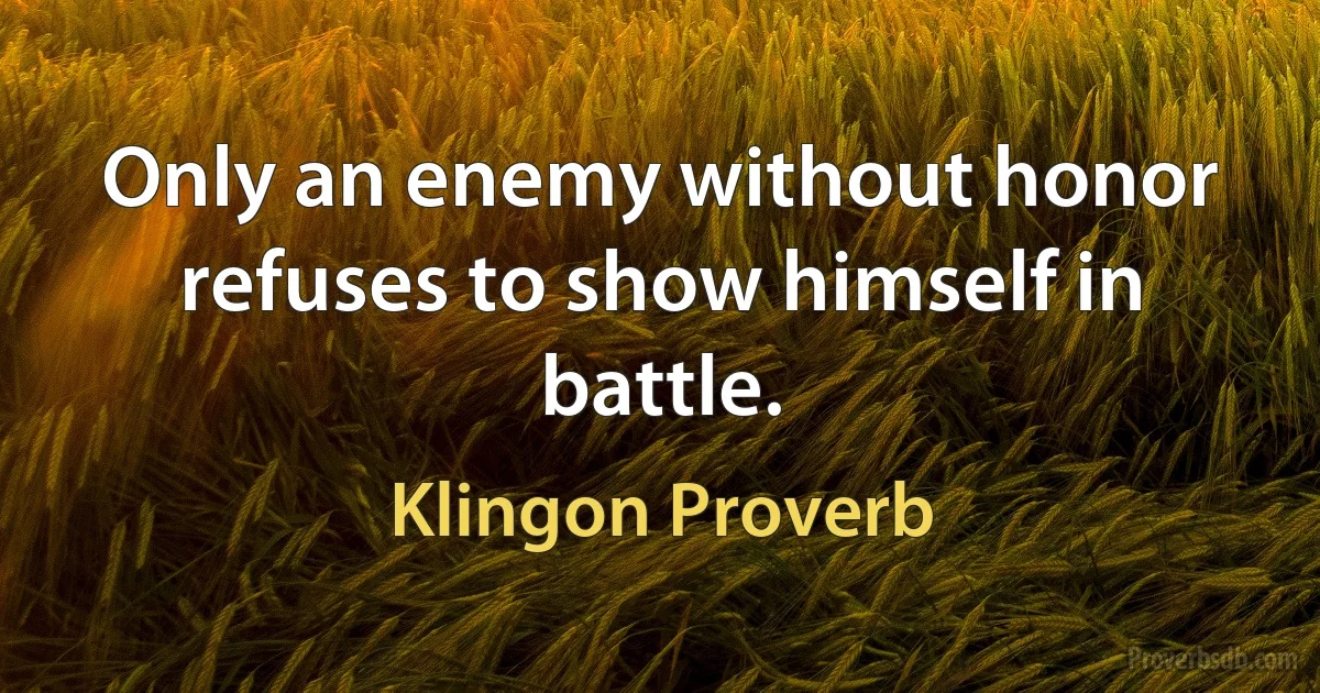 Only an enemy without honor refuses to show himself in battle. (Klingon Proverb)