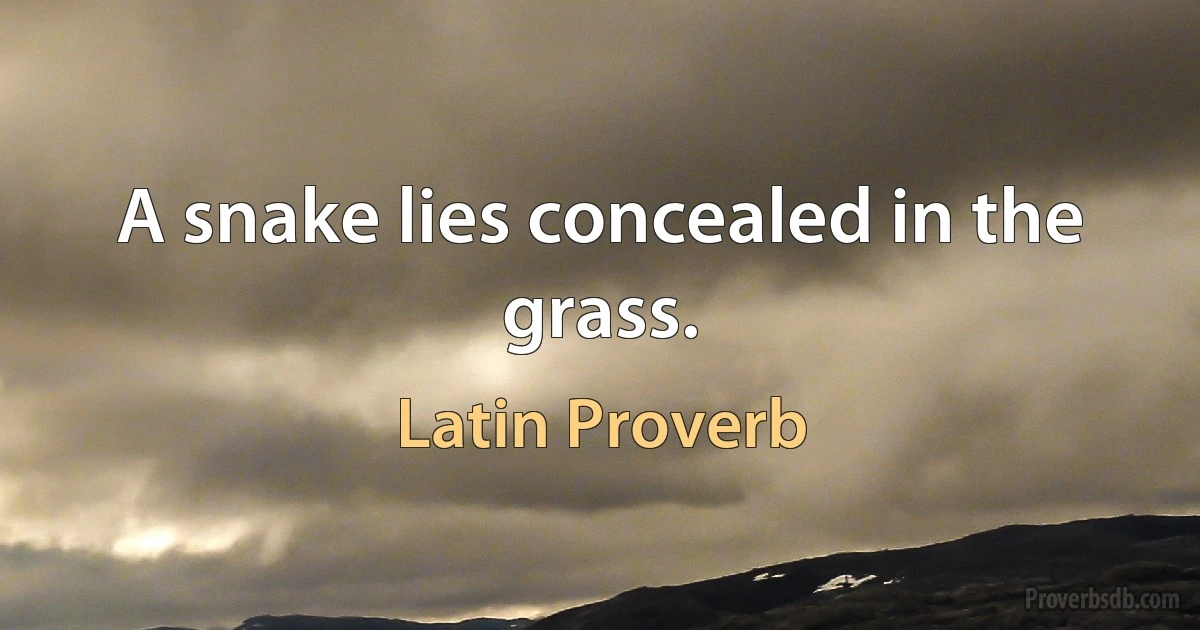 A snake lies concealed in the grass. (Latin Proverb)