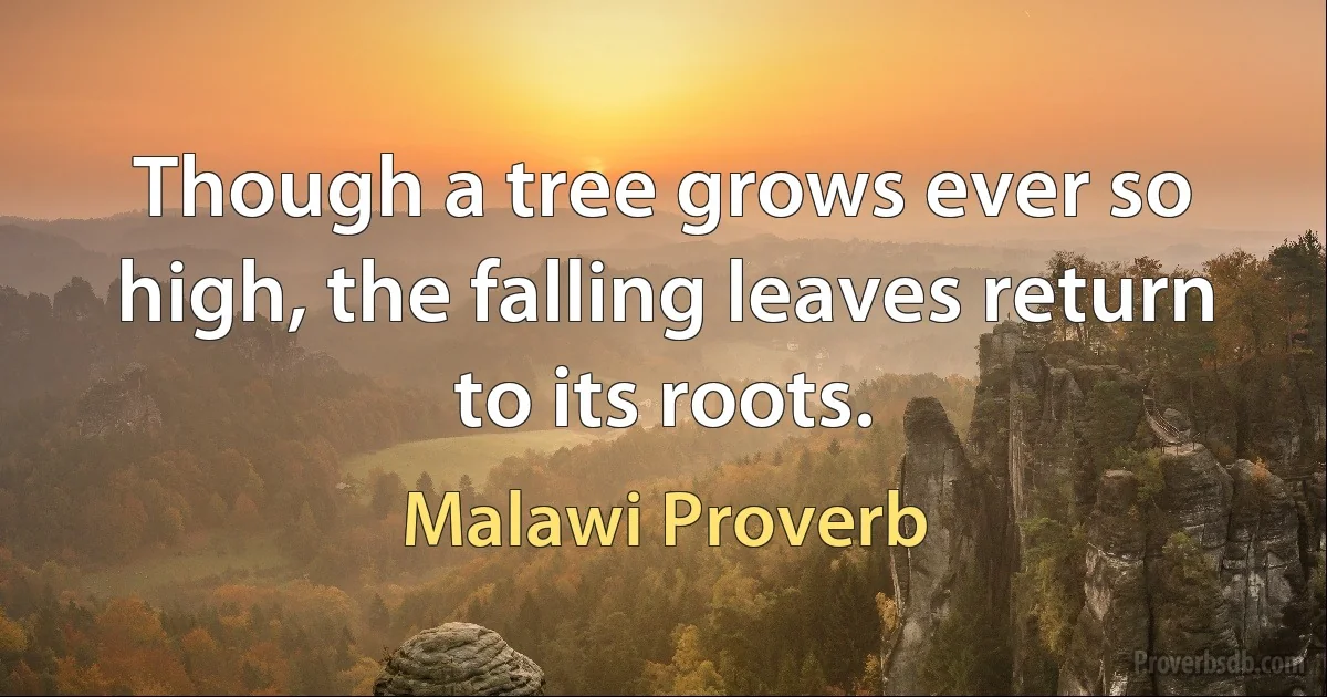 Though a tree grows ever so high, the falling leaves return to its roots. (Malawi Proverb)