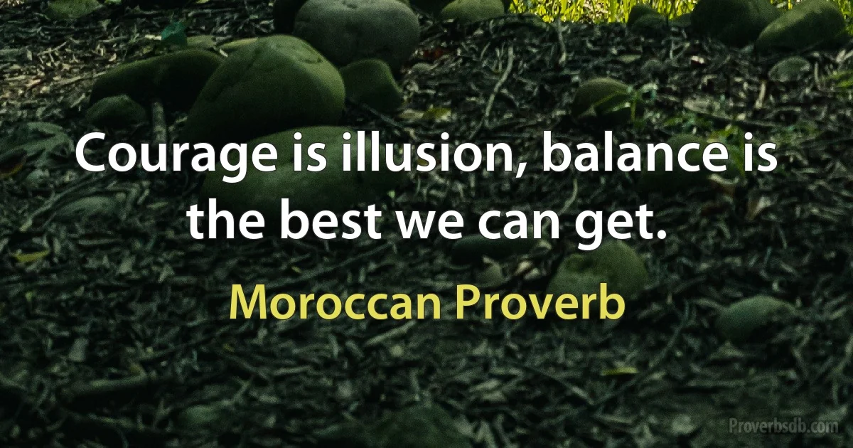 Courage is illusion, balance is the best we can get. (Moroccan Proverb)