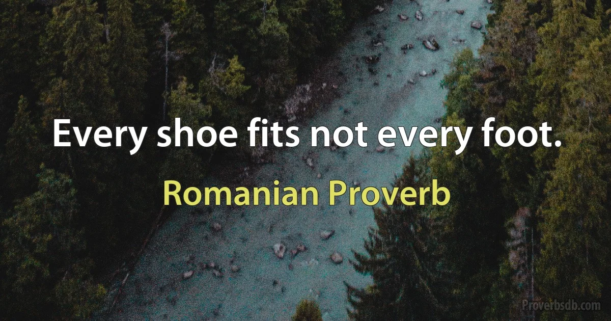 Every shoe fits not every foot. (Romanian Proverb)