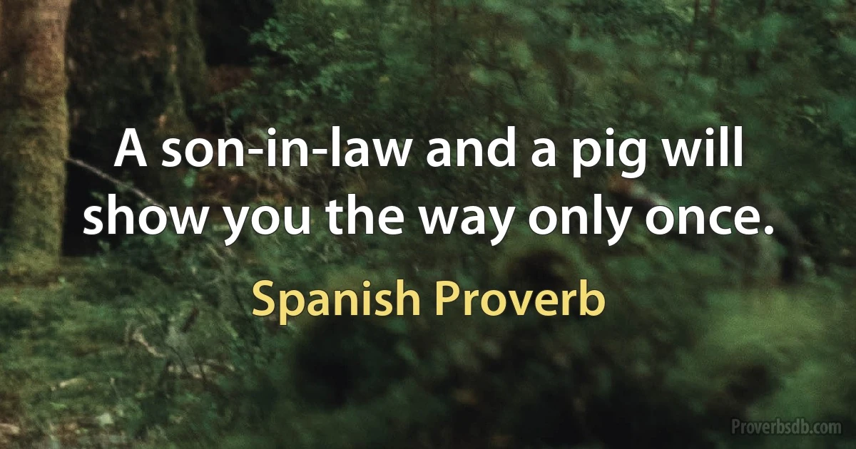 A son-in-law and a pig will show you the way only once. (Spanish Proverb)