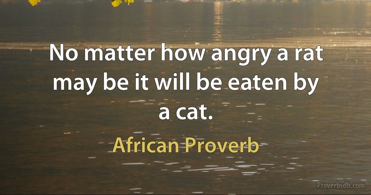 No matter how angry a rat may be it will be eaten by a cat. (African Proverb)