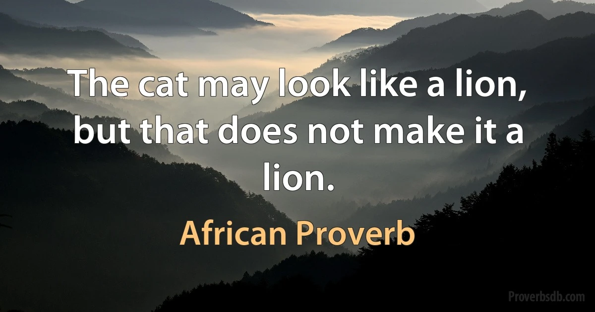 The cat may look like a lion, but that does not make it a lion. (African Proverb)