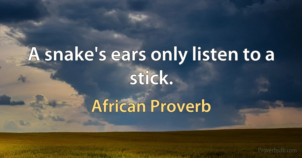 A snake's ears only listen to a stick. (African Proverb)