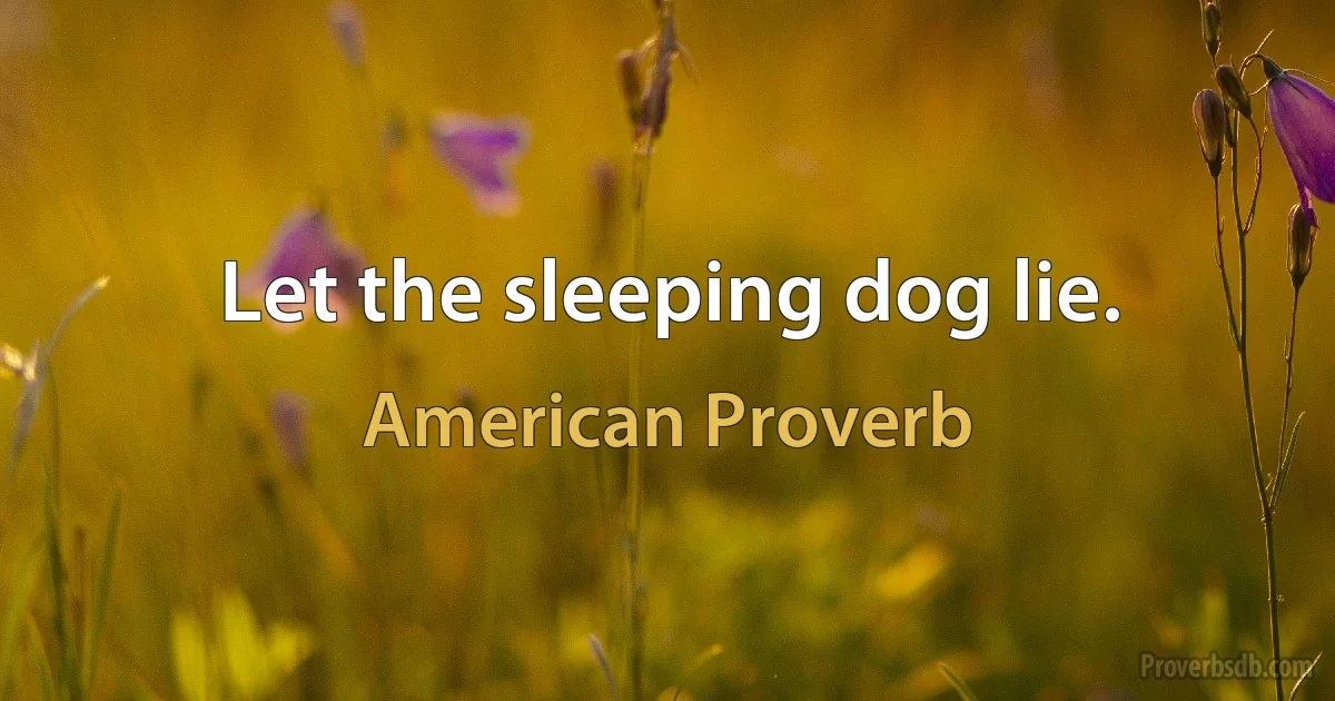 Let the sleeping dog lie. (American Proverb)