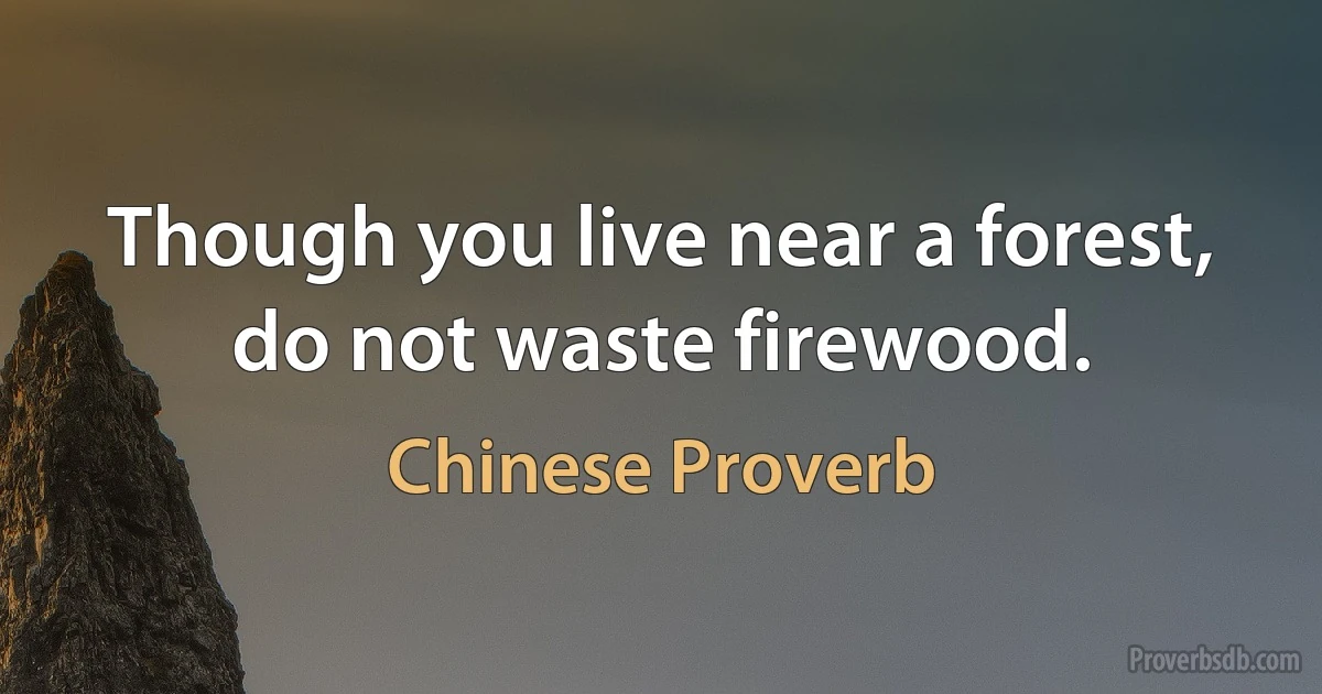 Though you live near a forest, do not waste firewood. (Chinese Proverb)