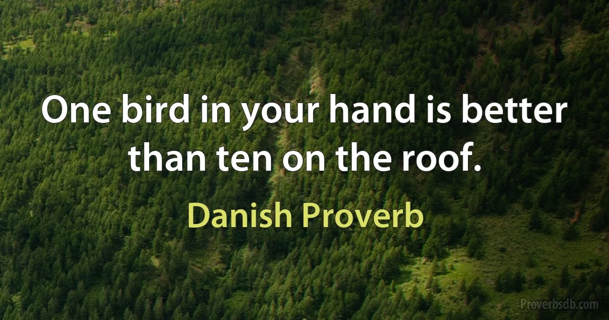 One bird in your hand is better than ten on the roof. (Danish Proverb)