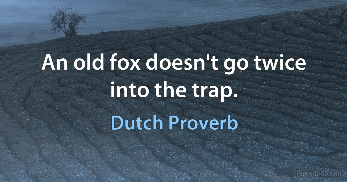 An old fox doesn't go twice into the trap. (Dutch Proverb)