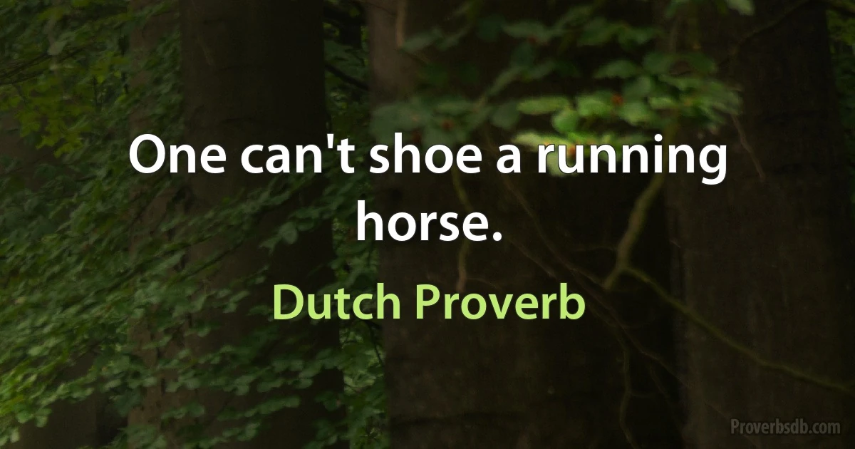 One can't shoe a running horse. (Dutch Proverb)