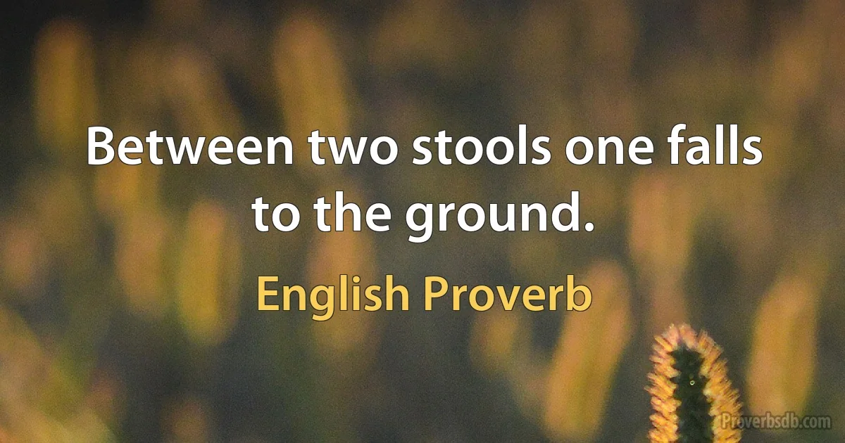 Between two stools one falls to the ground. (English Proverb)