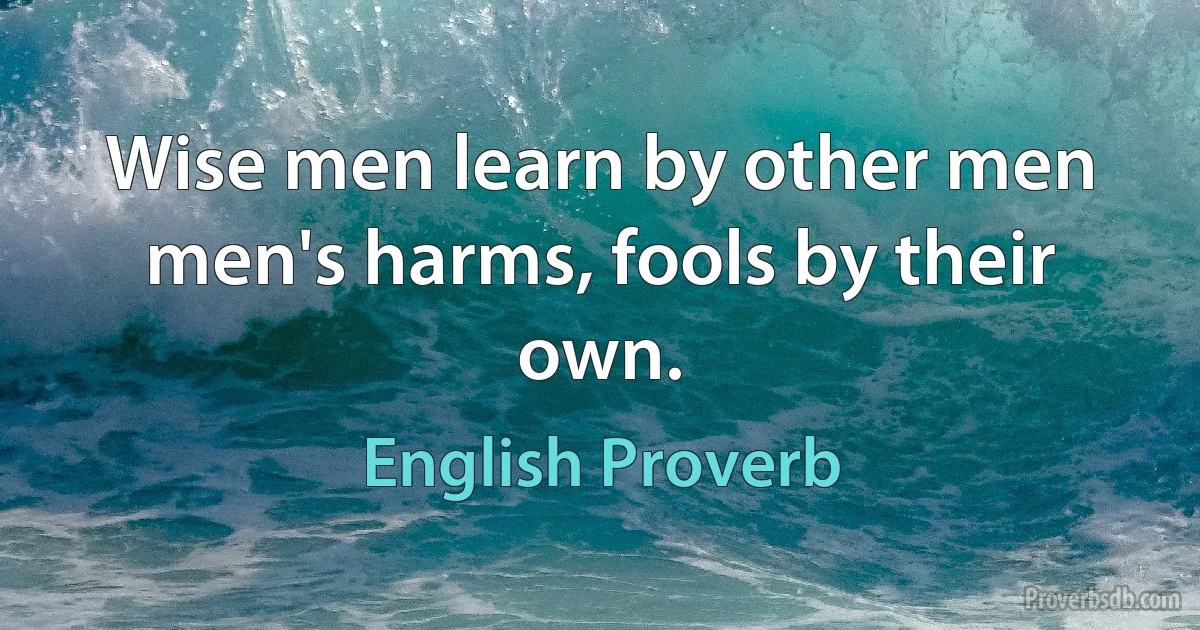 Wise men learn by other men men's harms, fools by their own. (English Proverb)