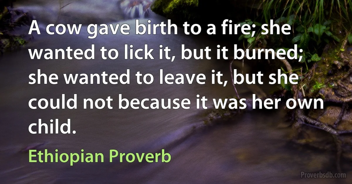 A cow gave birth to a fire; she wanted to lick it, but it burned; she wanted to leave it, but she could not because it was her own child. (Ethiopian Proverb)