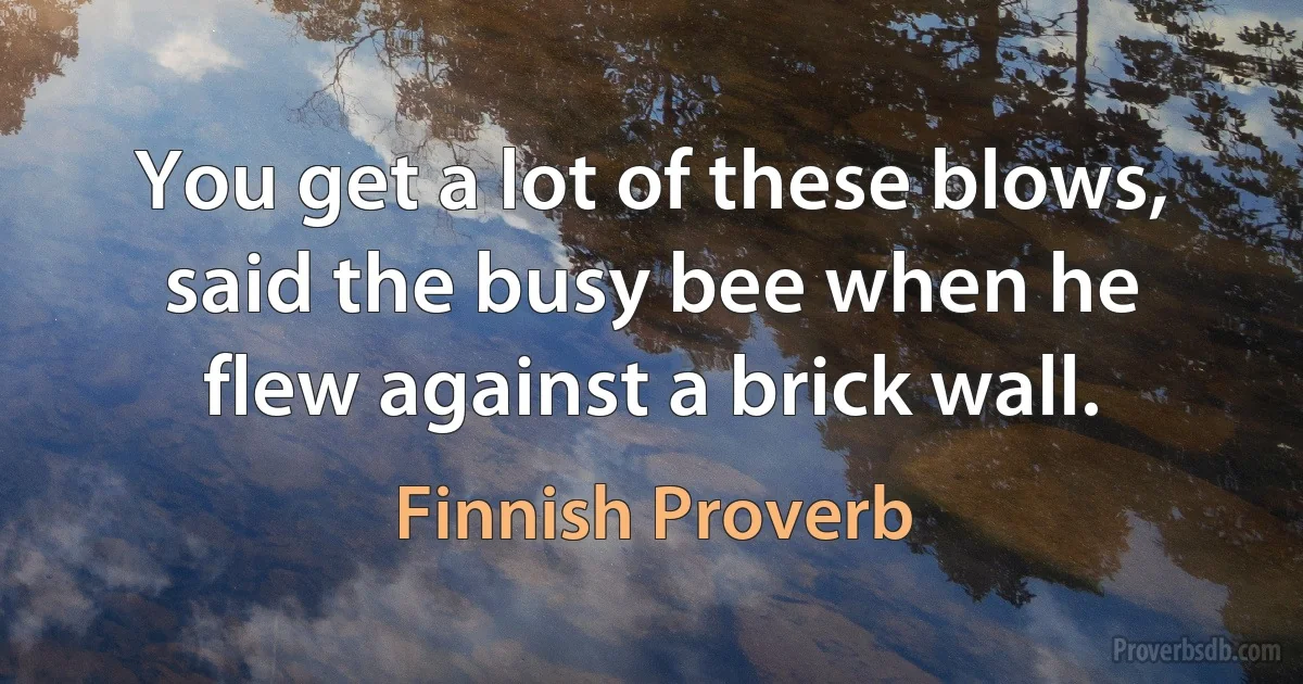 You get a lot of these blows, said the busy bee when he flew against a brick wall. (Finnish Proverb)