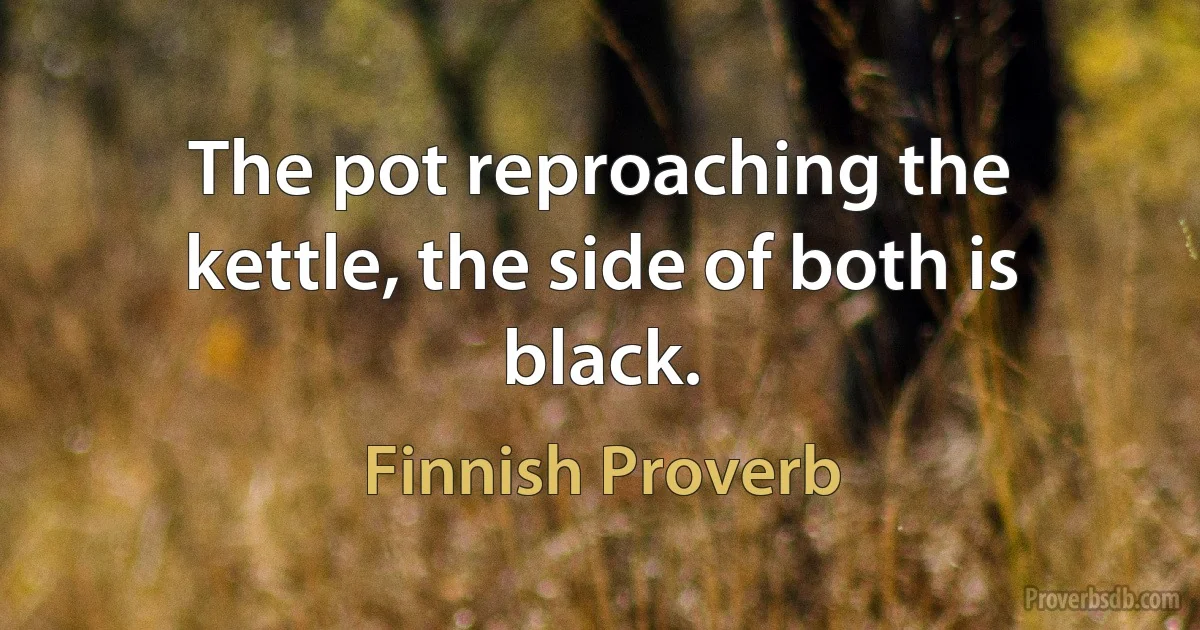 The pot reproaching the kettle, the side of both is black. (Finnish Proverb)