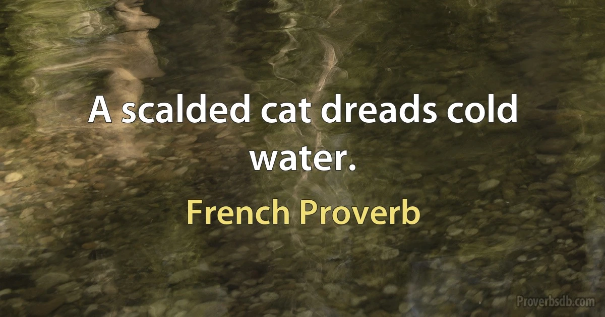 A scalded cat dreads cold water. (French Proverb)