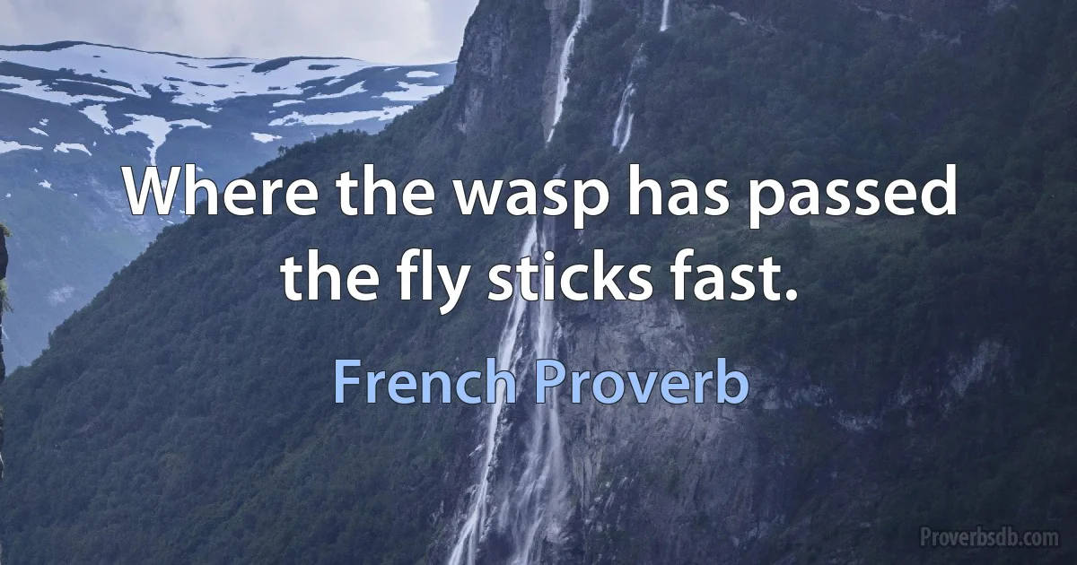 Where the wasp has passed the fly sticks fast. (French Proverb)