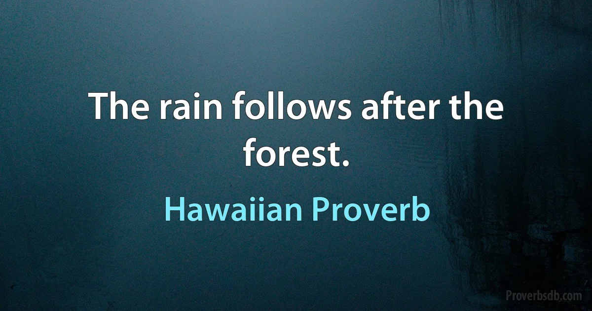 The rain follows after the forest. (Hawaiian Proverb)