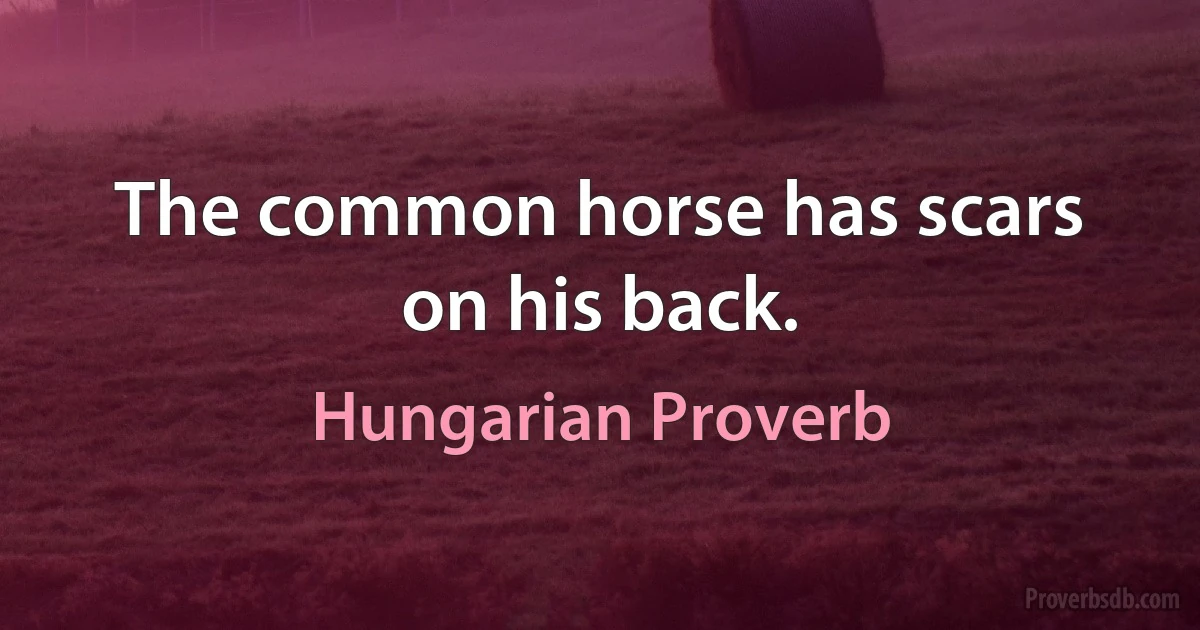 The common horse has scars on his back. (Hungarian Proverb)