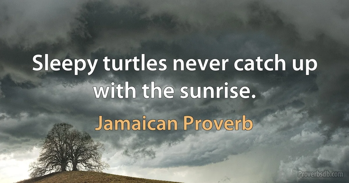 Sleepy turtles never catch up with the sunrise. (Jamaican Proverb)