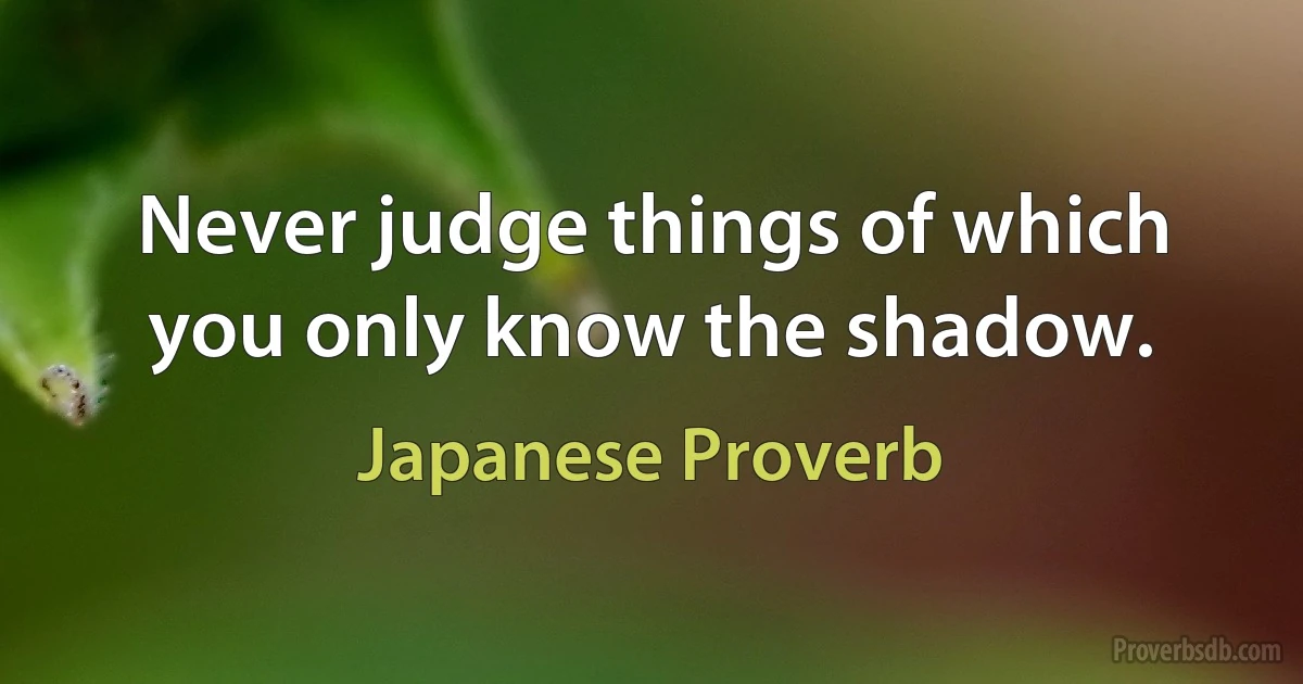 Never judge things of which you only know the shadow. (Japanese Proverb)