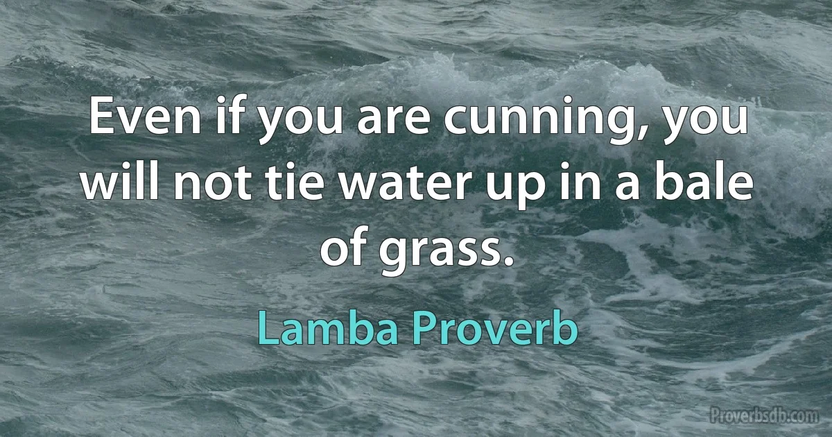 Even if you are cunning, you will not tie water up in a bale of grass. (Lamba Proverb)