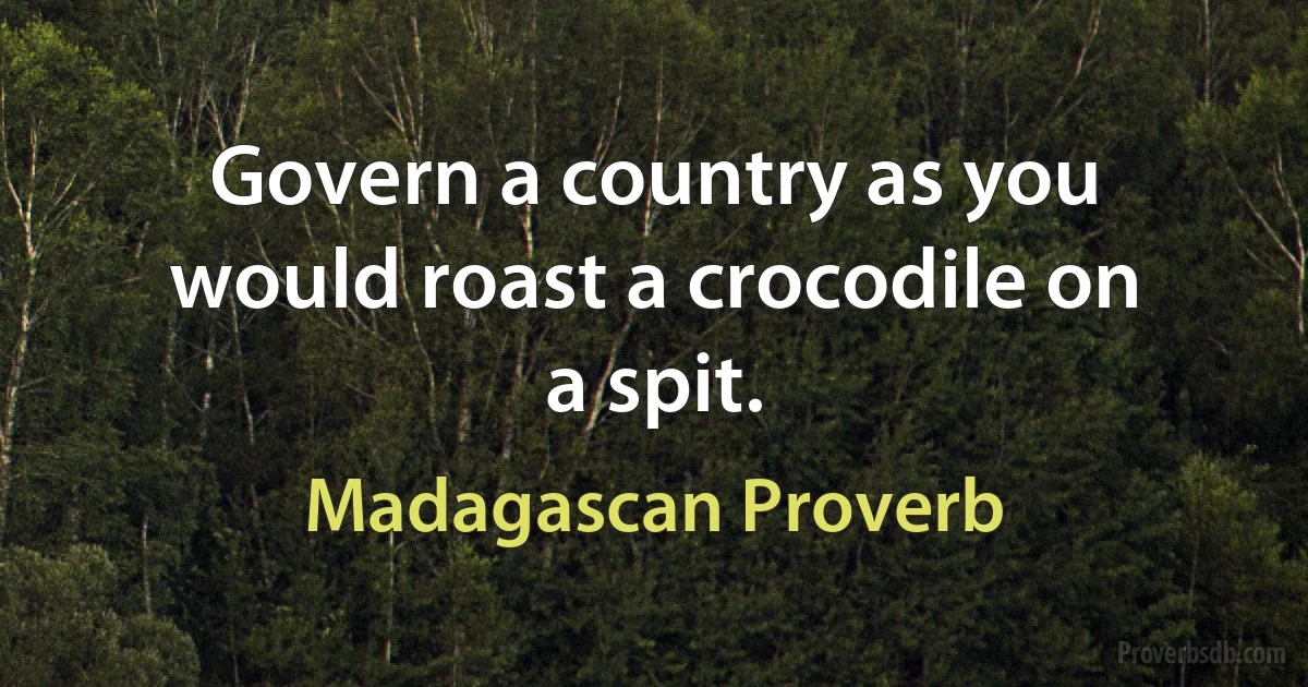 Govern a country as you would roast a crocodile on a spit. (Madagascan Proverb)