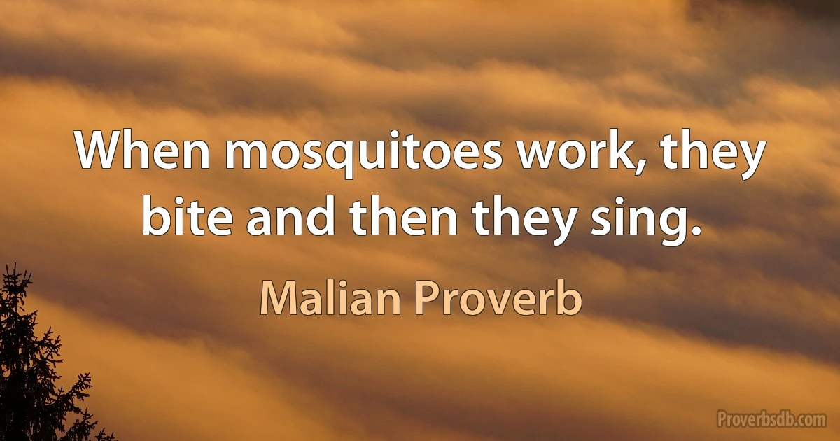 When mosquitoes work, they bite and then they sing. (Malian Proverb)