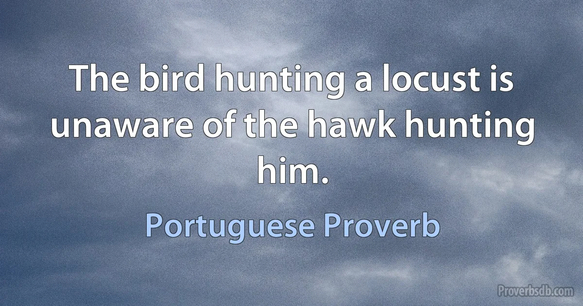 The bird hunting a locust is unaware of the hawk hunting him. (Portuguese Proverb)