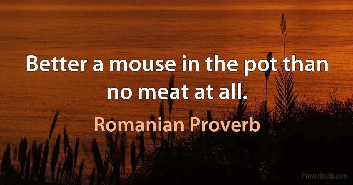 Better a mouse in the pot than no meat at all. (Romanian Proverb)