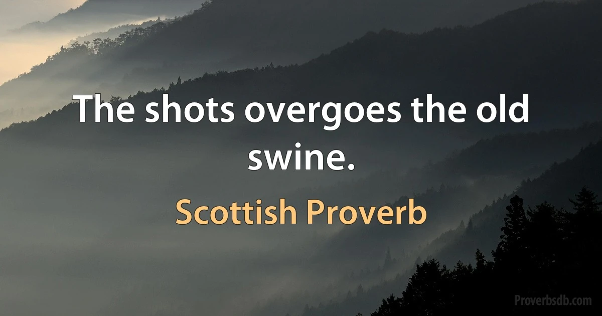 The shots overgoes the old swine. (Scottish Proverb)