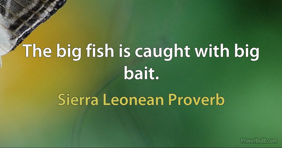 The big fish is caught with big bait. (Sierra Leonean Proverb)