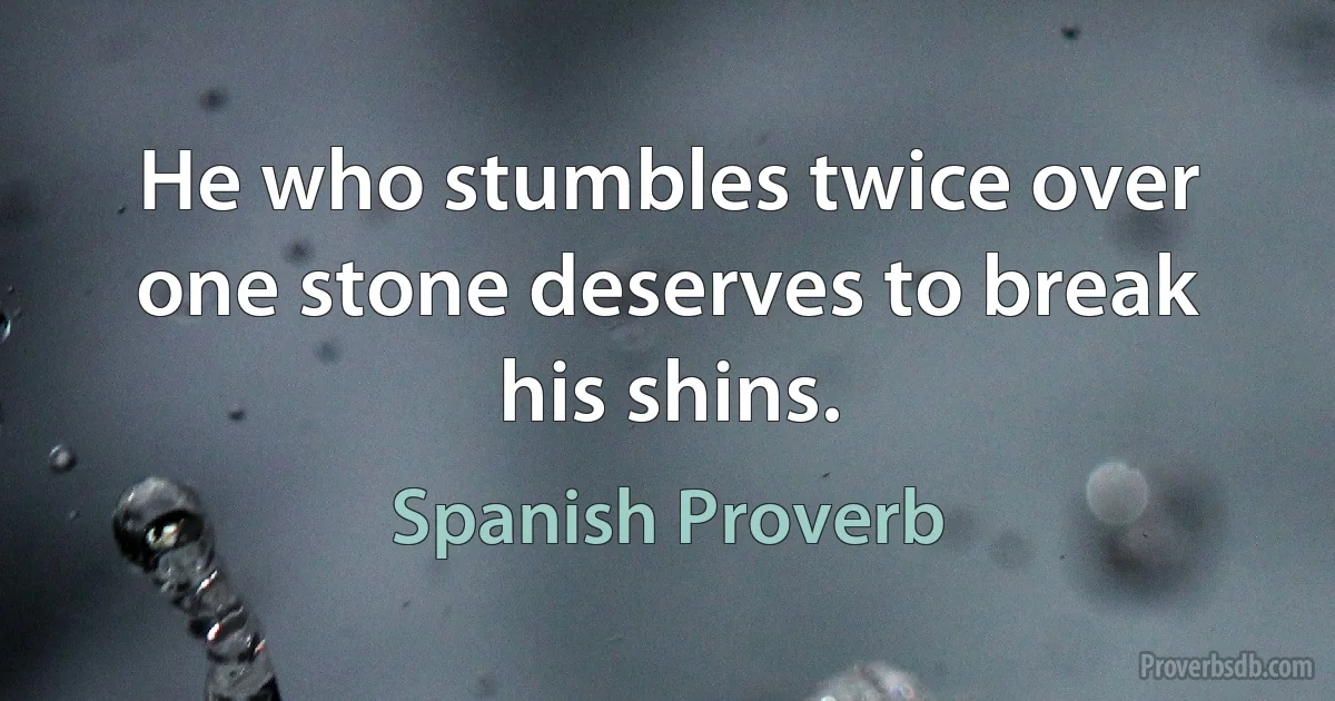 He who stumbles twice over one stone deserves to break his shins. (Spanish Proverb)