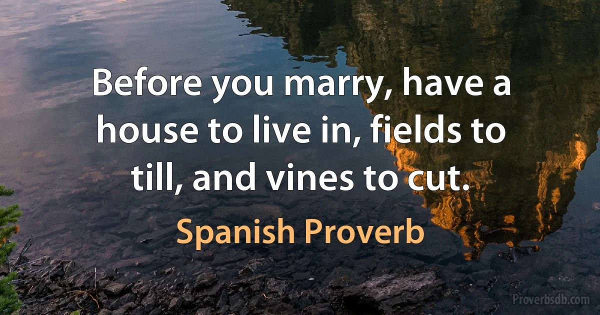 Before you marry, have a house to live in, fields to till, and vines to cut. (Spanish Proverb)