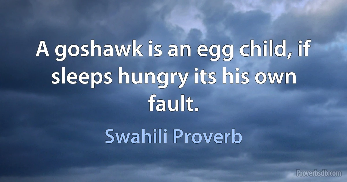 A goshawk is an egg child, if sleeps hungry its his own fault. (Swahili Proverb)