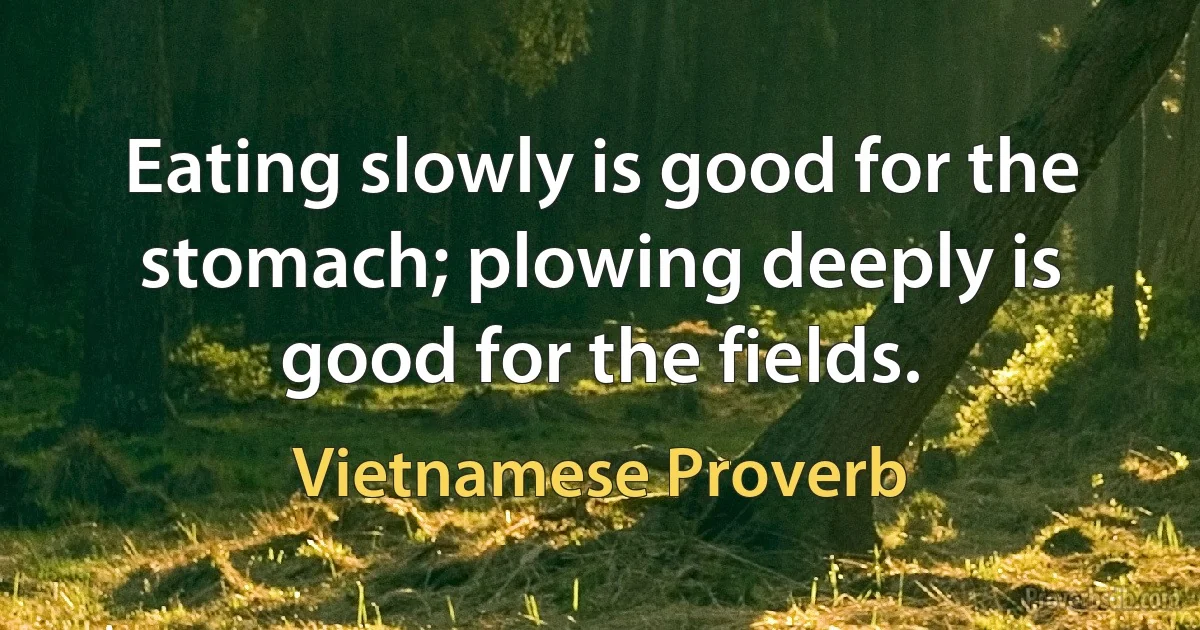 Eating slowly is good for the stomach; plowing deeply is good for the fields. (Vietnamese Proverb)