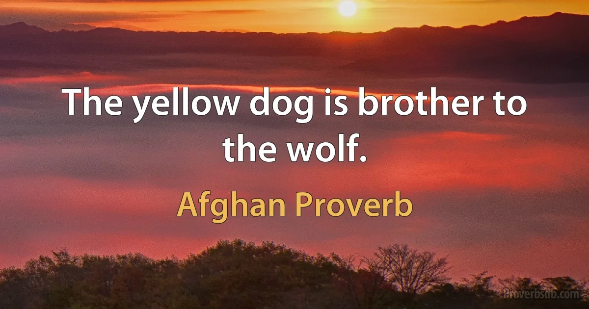 The yellow dog is brother to the wolf. (Afghan Proverb)