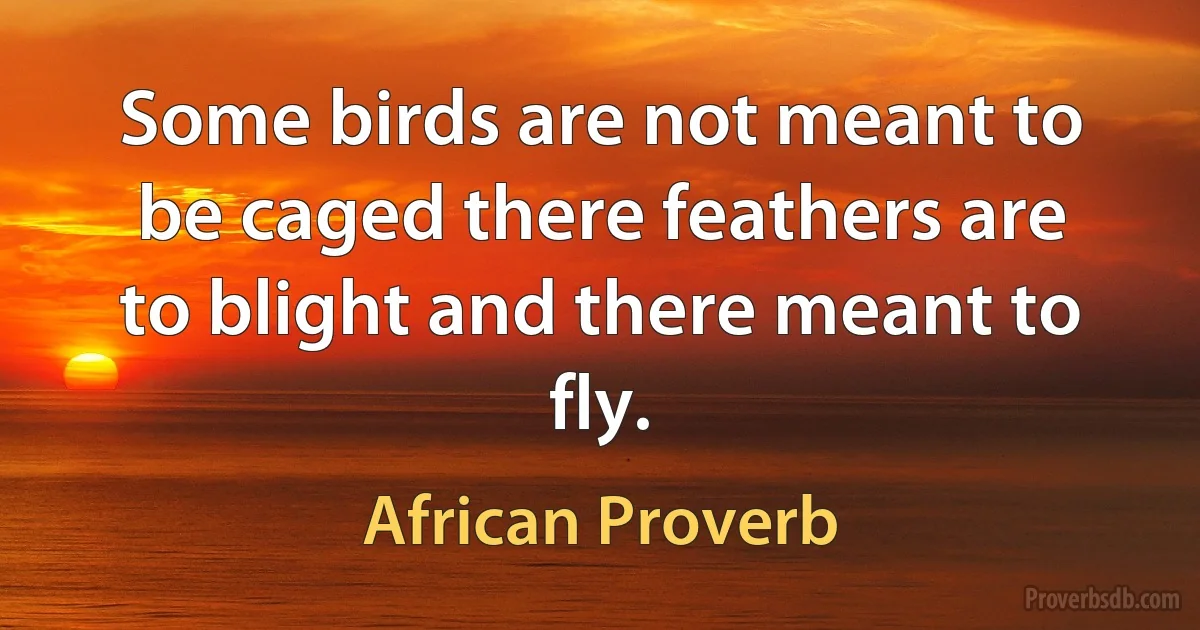 Some birds are not meant to be caged there feathers are to blight and there meant to fly. (African Proverb)