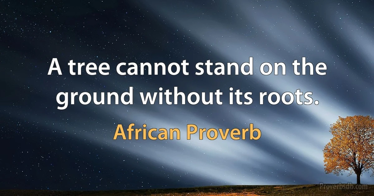 A tree cannot stand on the ground without its roots. (African Proverb)