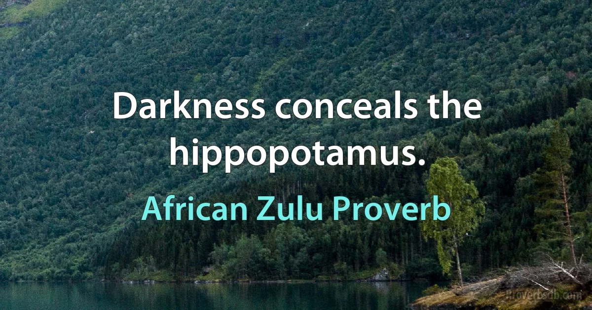 Darkness conceals the hippopotamus. (African Zulu Proverb)