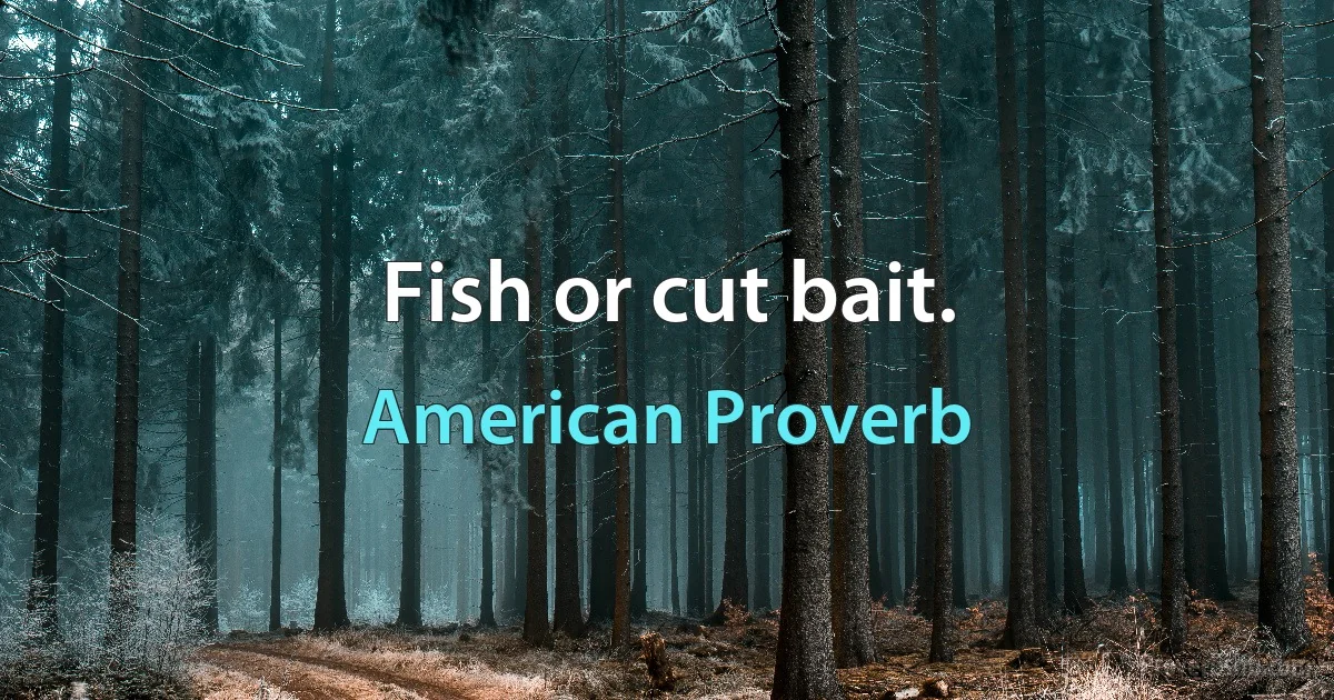 Fish or cut bait. (American Proverb)