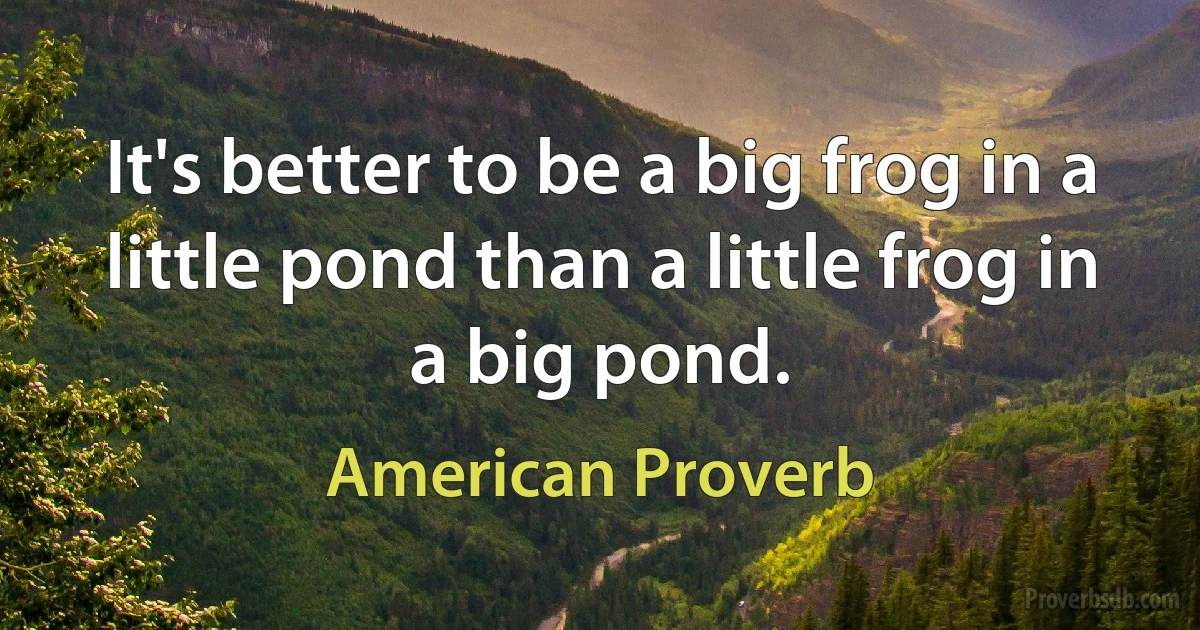 It's better to be a big frog in a little pond than a little frog in a big pond. (American Proverb)