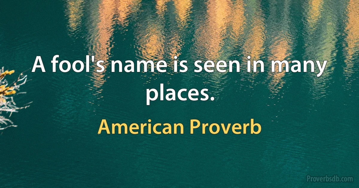 A fool's name is seen in many places. (American Proverb)