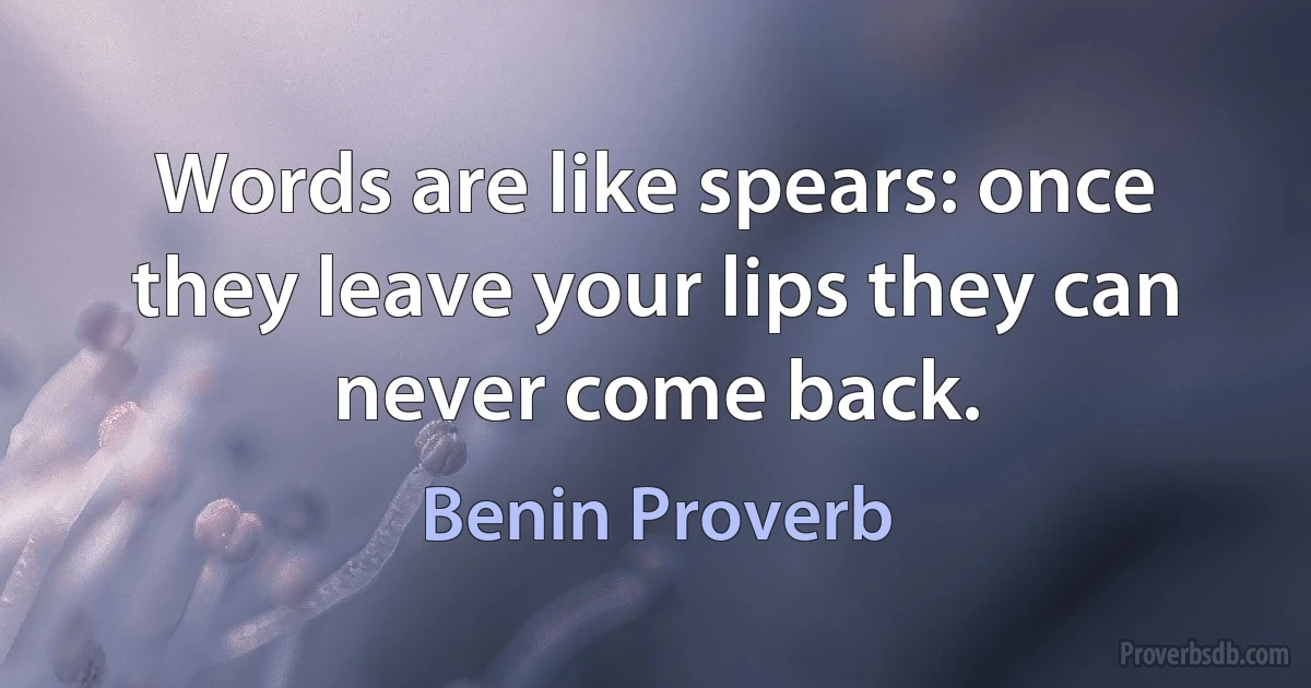 Words are like spears: once they leave your lips they can never come back. (Benin Proverb)