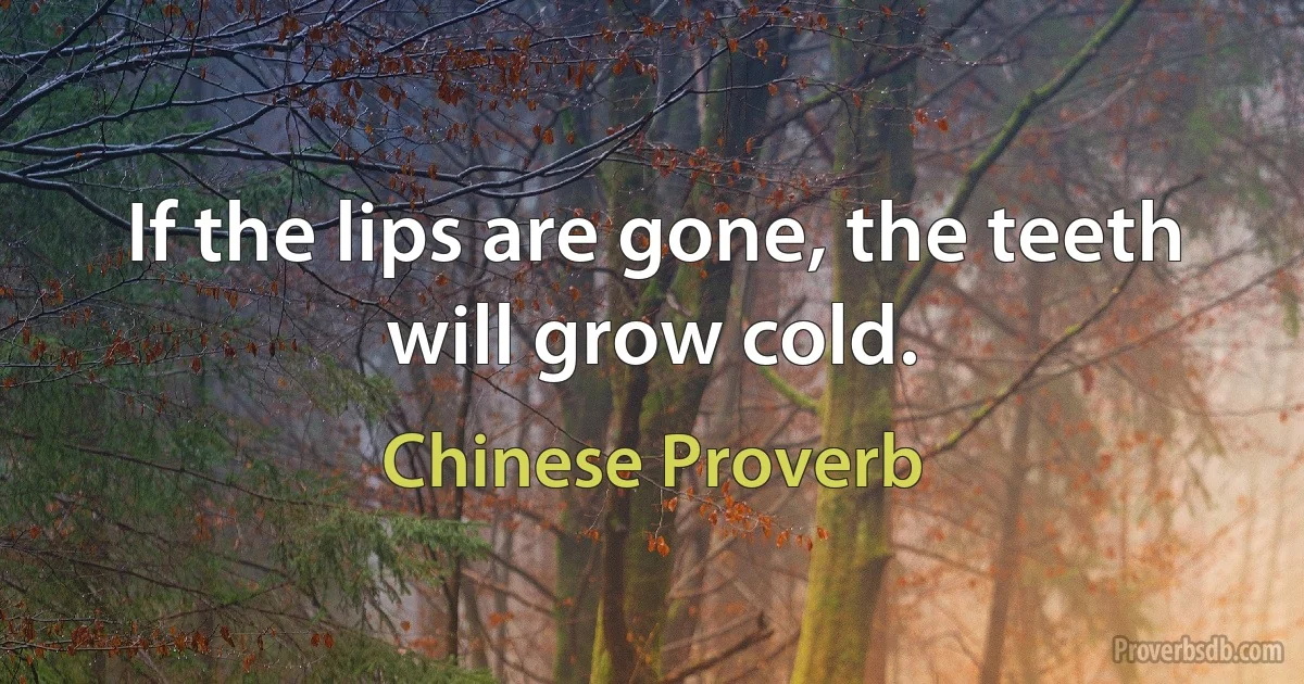 If the lips are gone, the teeth will grow cold. (Chinese Proverb)