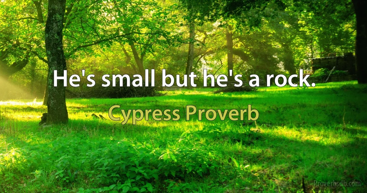 He's small but he's a rock. (Cypress Proverb)